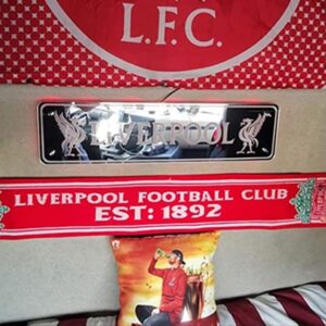 Liverpool Truck Led Mirror